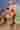Loading