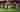 Loading